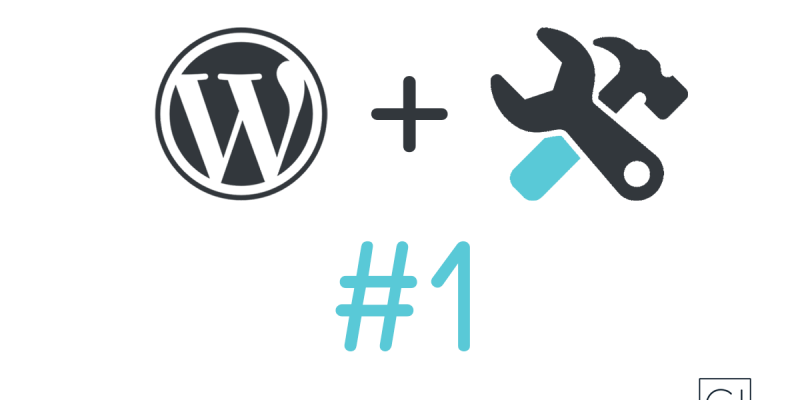 #1 – WP Dev – Lập trình WordPress là gì?