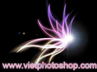 Bông hoa đêm hiệu ứng