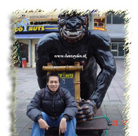 Đường viền – Edge