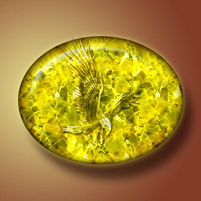 HIỆU ỨNG HỔ PHÁCH