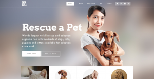 Website shop chó mèo WordPress đẹp